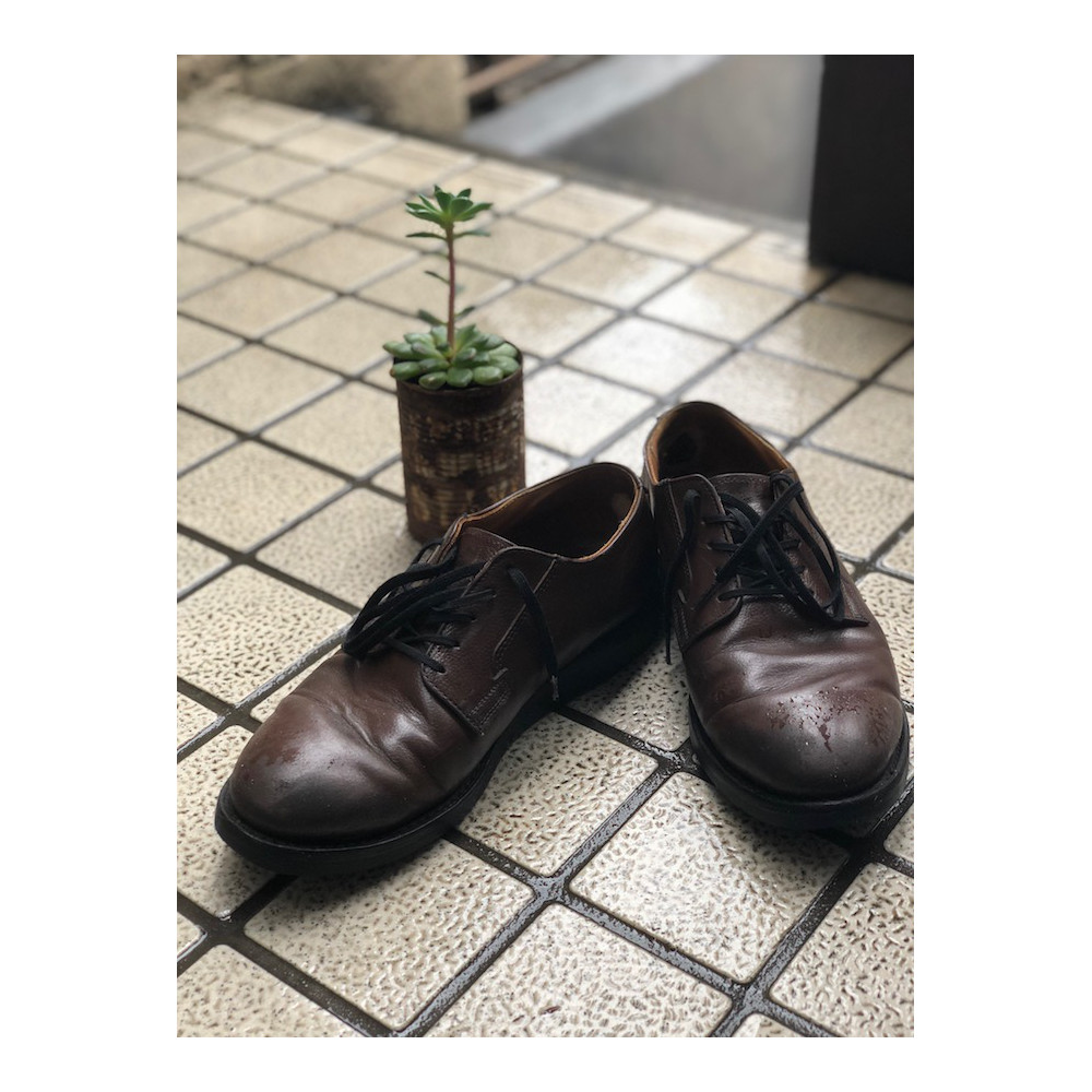 雨の日も楽しめるシューズ【 RED WING レッドウィング 】postman boot